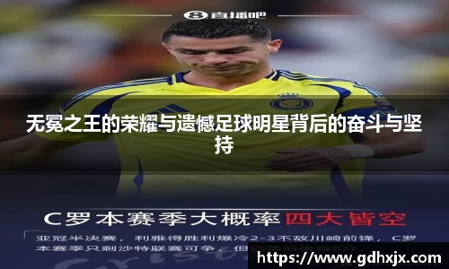 无冕之王的荣耀与遗憾足球明星背后的奋斗与坚持